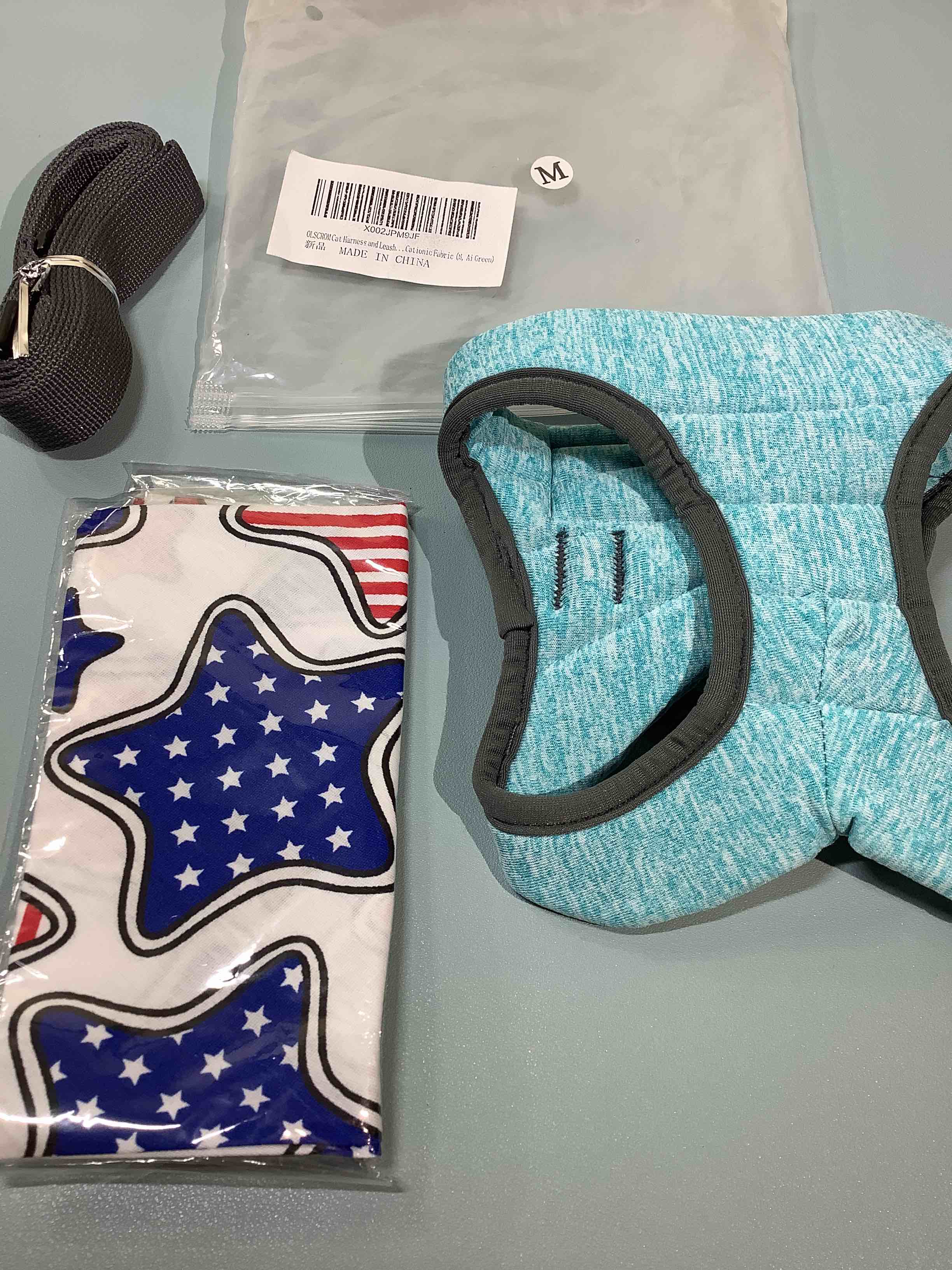 Cat or Small Dog Harness, Leash and Bandana