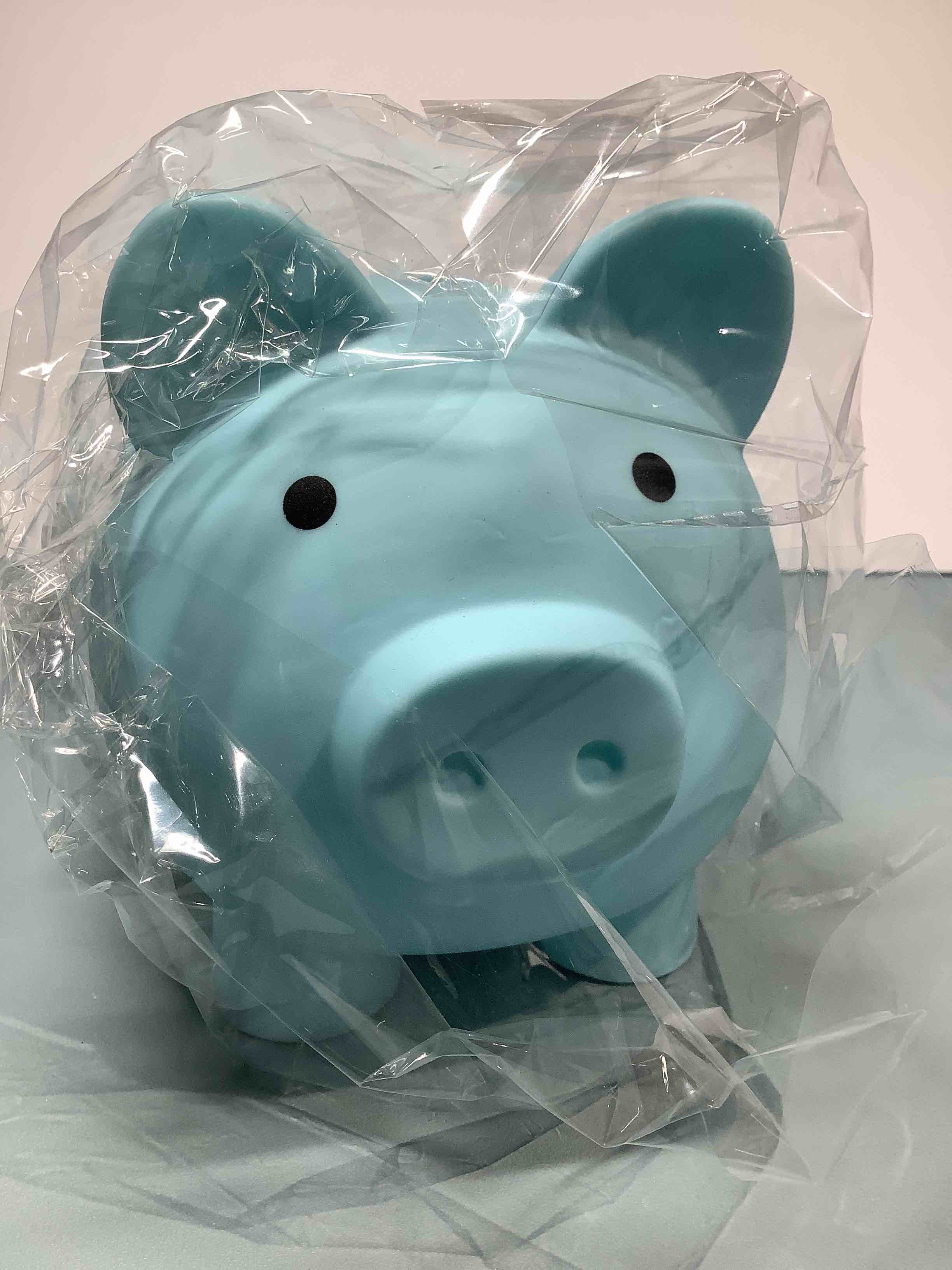 Blue Piggy Bank