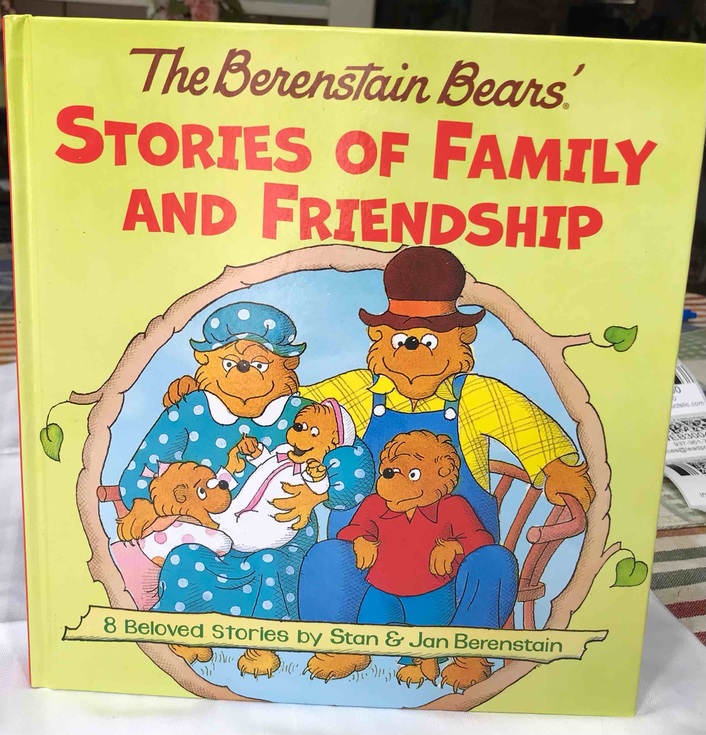The berenstain bears story of family and friendship