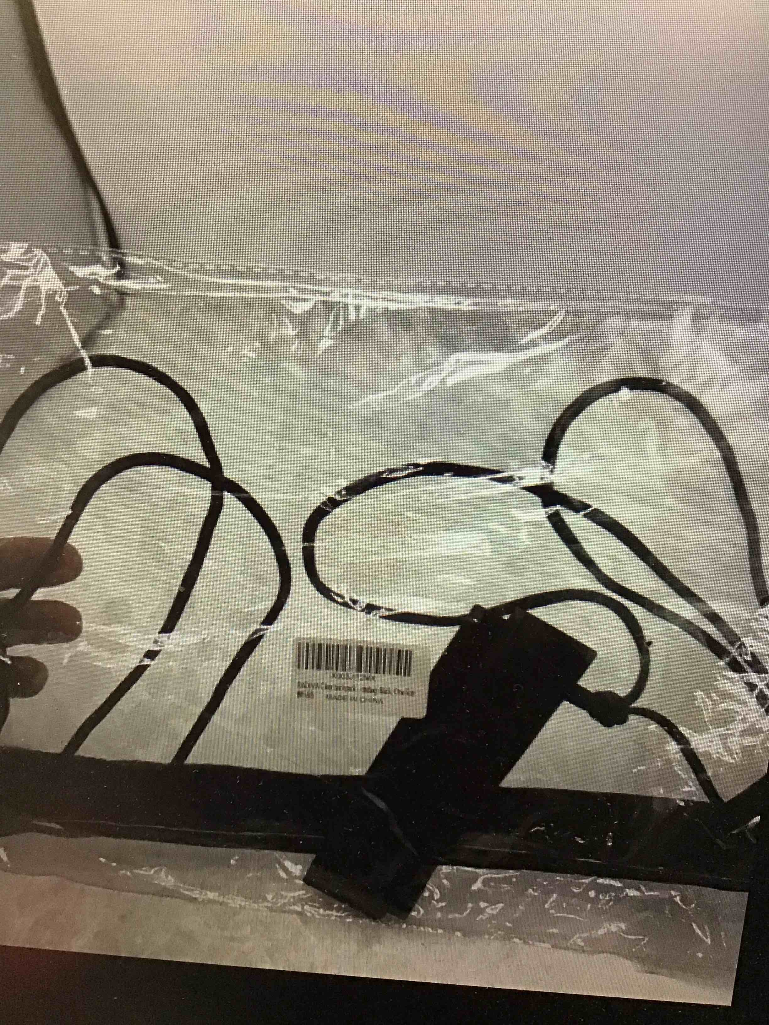 RADIVA CLEAR BACKPACK