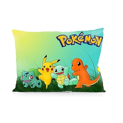 Rechzng Li Pokemons Pillowcase Both Sides Print Zipper Throw Pillows Covers 20x30 Inches