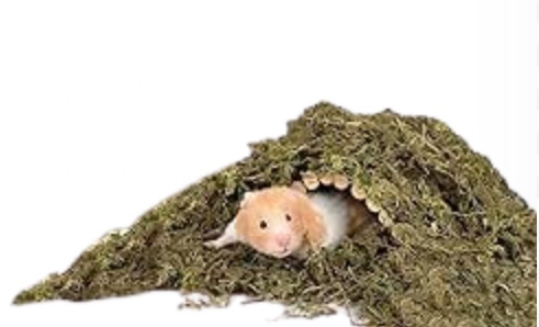 Forest Moss for Hamster Bedding Nesting, Syrian Gerbils Hamster Cages Accessories, Perfect for Small Animals Terrarium Moss