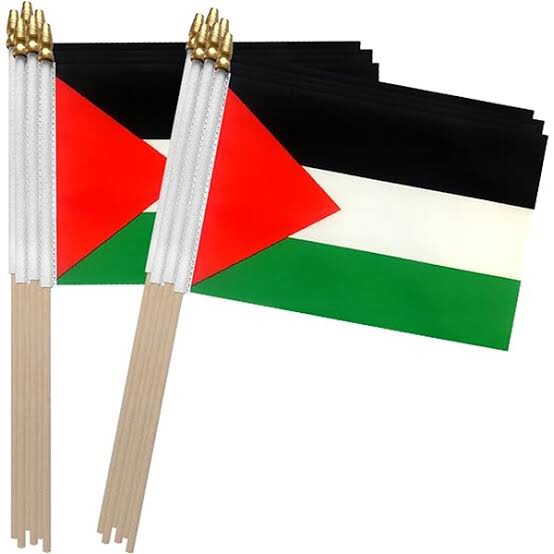 TSMD Palestine Stick Flag Palestinian Small Mini Hand Held Flags,5x8 Inch,12 Pack
