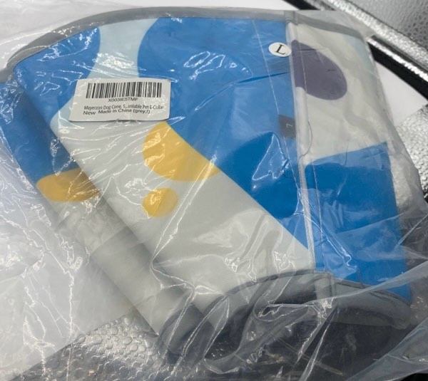 https://s3.amazonaws.com/lotting-images-prod/webster/WEB30211042_1705607067695.jpeg