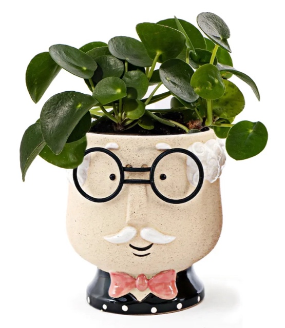 Face Flower Pots Head Grandpa Flower Pot