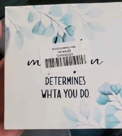 Determines What You Do 287XR-MH