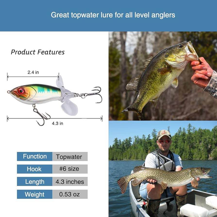 https://s3.amazonaws.com/lotting-images-prod/webster/WEB30218146_1707902921954.jpeg