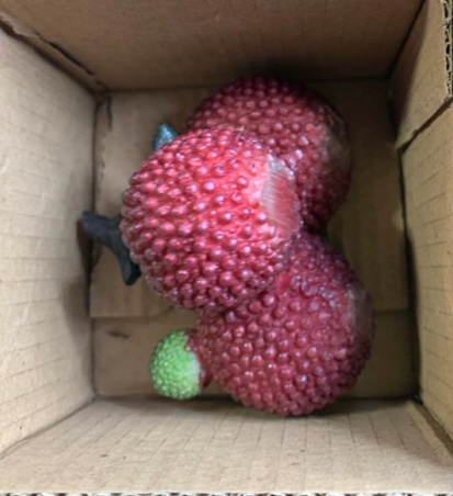 https://s3.amazonaws.com/lotting-images-prod/webster/WEB30220897_1708656330280.jpeg