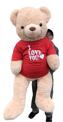 Giant Bear +I Love You 22pcs-US