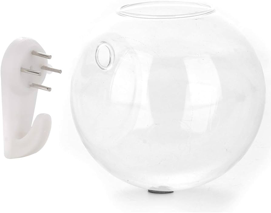 WDDH Wall Hanging Planter Glass Terrarium, Clear Globe Flower Vase for Air Plants Succulents, Wall Mounted Bowl Fish Tank Clear Flower Pot for Succulent Plants, Air Plant