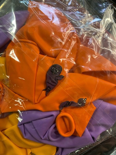 https://s3.amazonaws.com/lotting-images-prod/webster/WEB30230163_1712412526588.jpeg