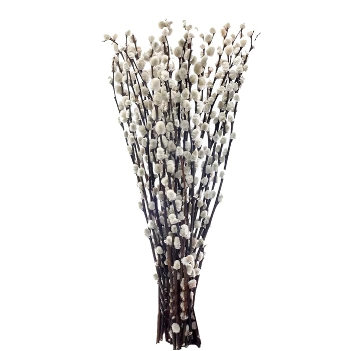 40 Stems 17.5 Inches 100% Natural Dried Willow Branches for Vases Real Willows Dried Flowers Salix Argyracea White Willows for Home Decorations, Wedding, Party NO VASE (White)
