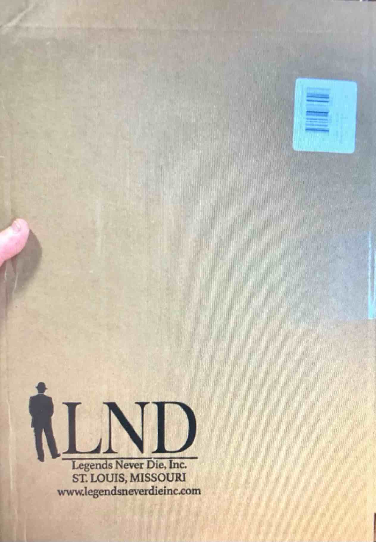 Wizard of Oz Scarecrow Upgrade