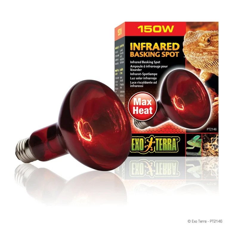 EXO TERRA Heat-Glo Infrared Spot Lamp (150-Watt/120-Volt)
