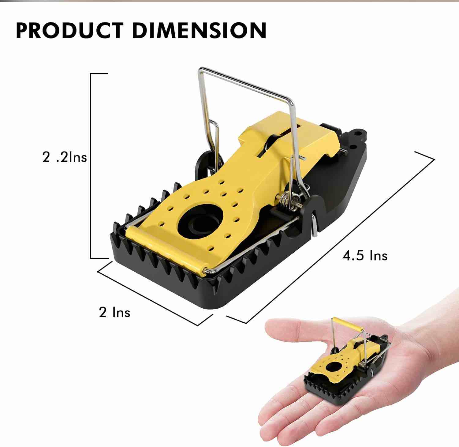 https://s3.amazonaws.com/lotting-images-prod/webster/WEB30234083_1714584856921.jpeg