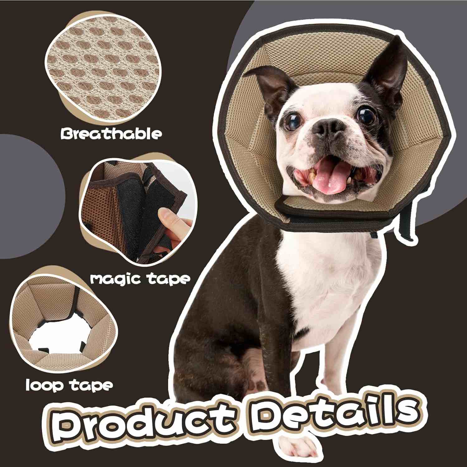 https://s3.amazonaws.com/lotting-images-prod/webster/WEB30235930_1715708018642.jpeg