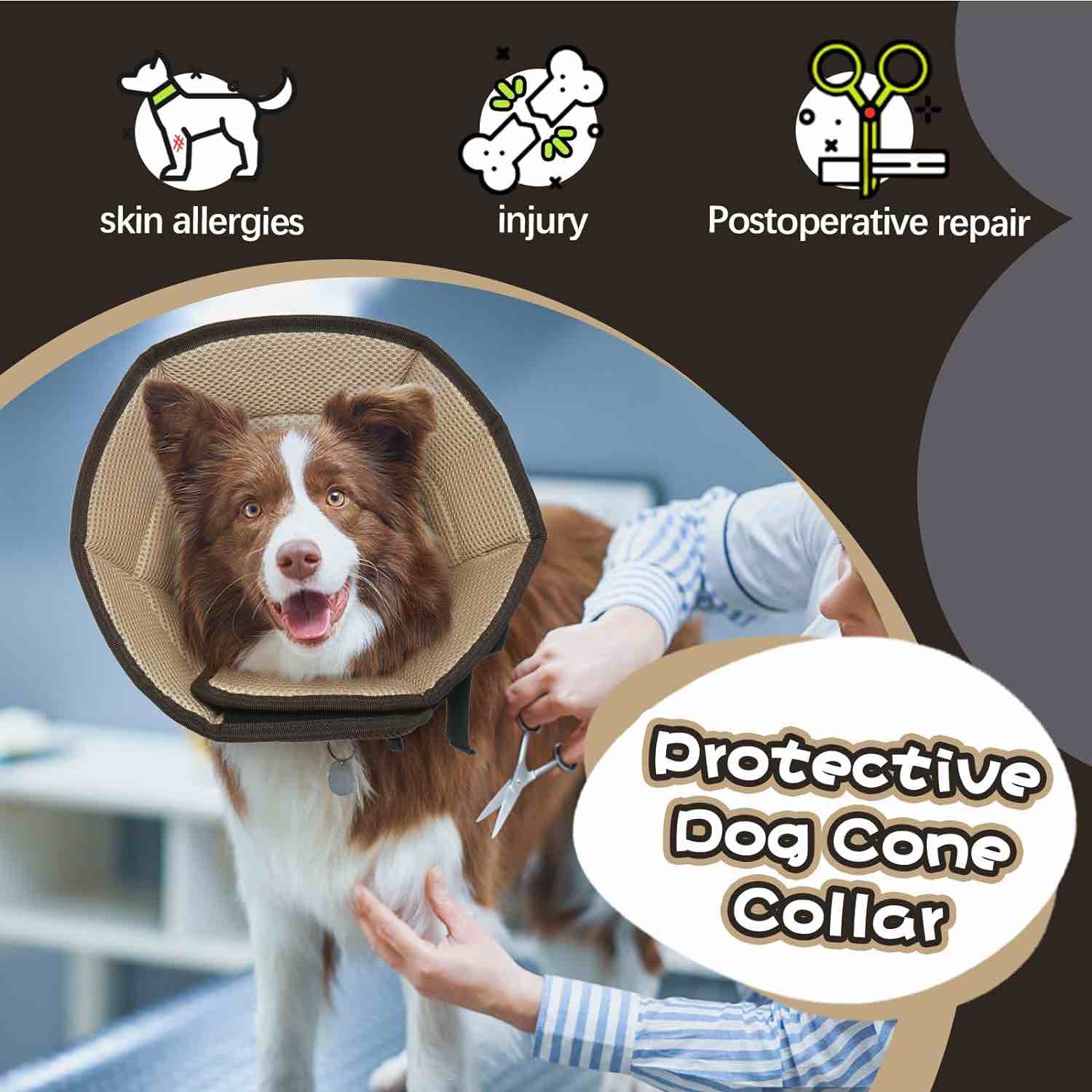 https://s3.amazonaws.com/lotting-images-prod/webster/WEB30235930_1715708023576.jpeg