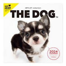 THE DOG 2024 Calendar Large format size (Chihuahua)