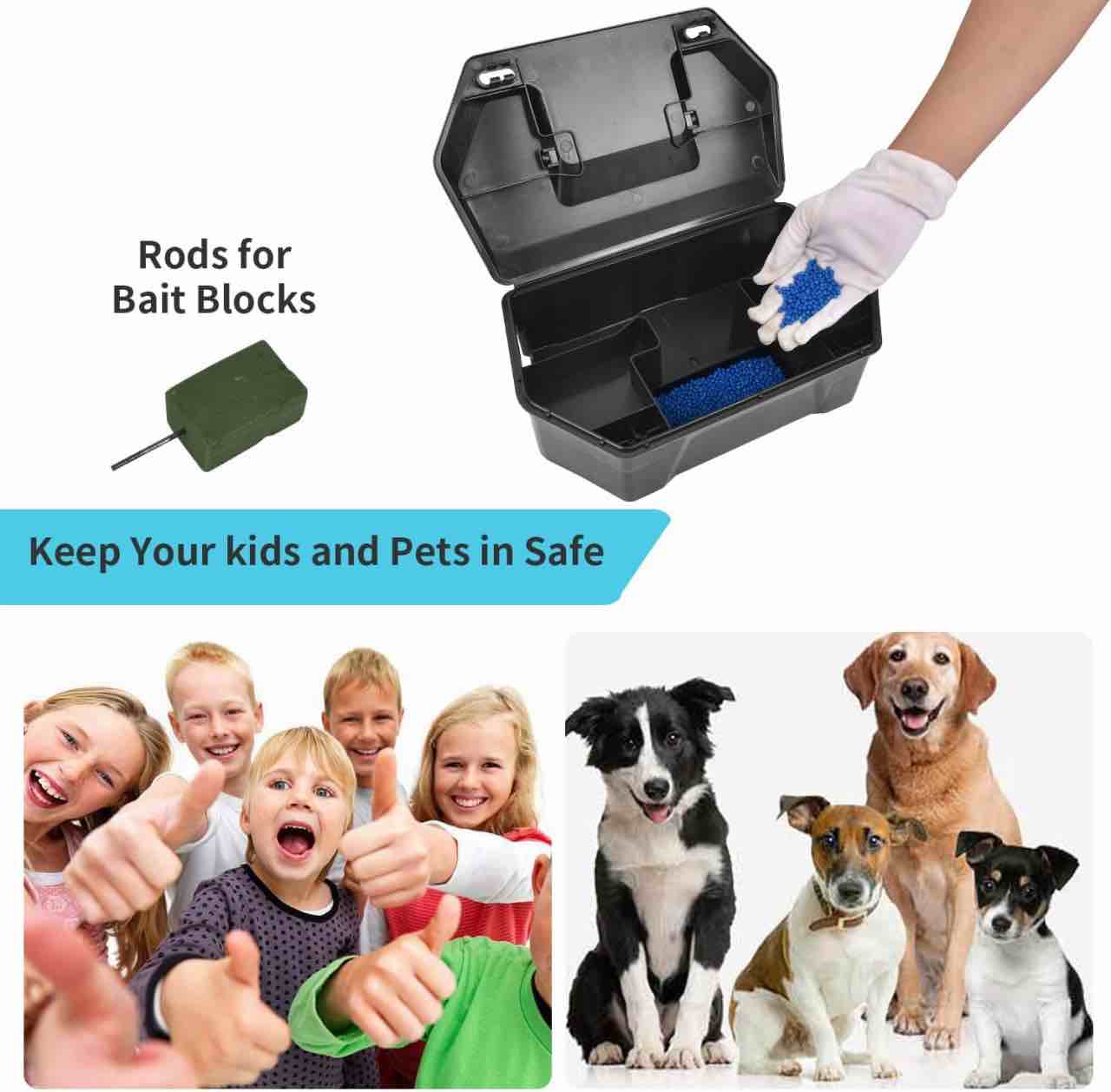 https://s3.amazonaws.com/lotting-images-prod/webster/WEB30240906_1718214075256.jpeg
