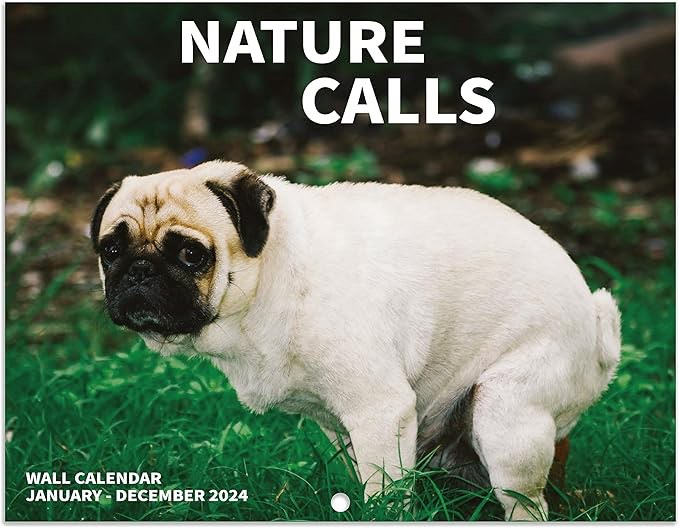 2023-2024 Wall Calendar - 2023-2024 Calendar 17" x 11" When Open, 18 Monthly Calendar From Jul. 2023 to Dec. 2024, Thick Paper Pages Folded Ready to Hang Poop Dogs