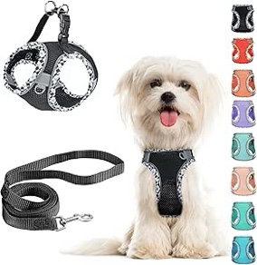 Small Dog Harness and Leash Set, No Pull Adjustable Reflective Breathable Mesh Step in Dog Harness Easy Walk Dog Harness for Extra Small/Small Medium Dog Cats Puppy Outdoor Hiking Training (Black XXS)