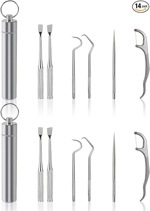 RMISODO Portable Metal Toothpicks Set of 14, Reusable Tooth Scraper Floss with Keychain, Stainless Steel Tartar Removing Teeth Pick with Holder, Tooth Cleaning Kit for Outdoor Picnic Travel Camping