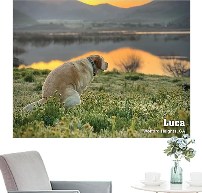 2024 Dog Calendar Wall Crapping Dogs Calendar Planner Dogs Pooping Calendar 2024 White Gag Gift Organizing & Planning For Teachers, Coworkers, Colleagues, Employees, Home Decoration