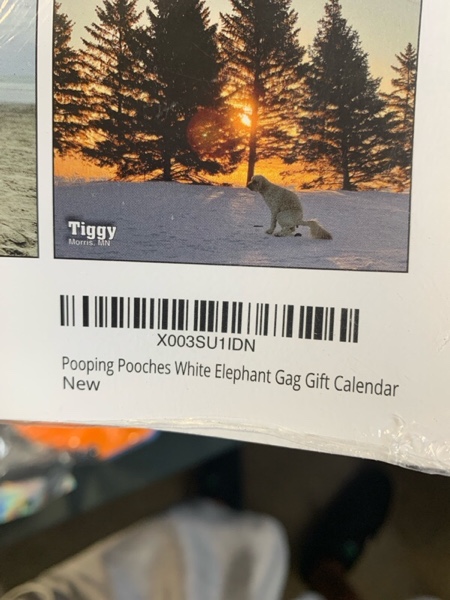 https://s3.amazonaws.com/lotting-images-prod/webster/WEB30251062_1723516619152.jpeg