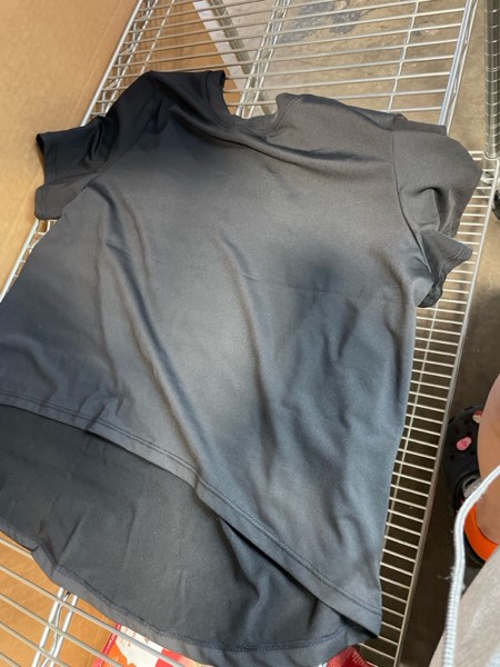 https://s3.amazonaws.com/lotting-images-prod/webster/WEB30258029_1728412882027.jpeg
