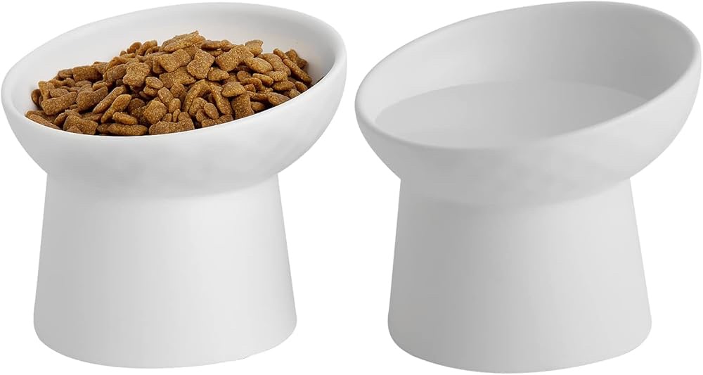 Ceramic Raised Cat Bowls, Elevated Tilted Cat Food and Water Bowls Set, Porcelain Stress Free Pet Feeder Dish for Cats and Small Dogs, Dishwasher and Microwave Safe, Set of 2 (White)