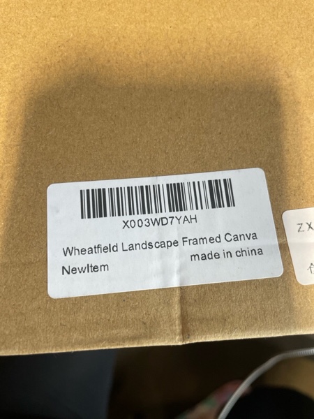 https://s3.amazonaws.com/lotting-images-prod/webster/WEB30261550_1729199787775.jpeg
