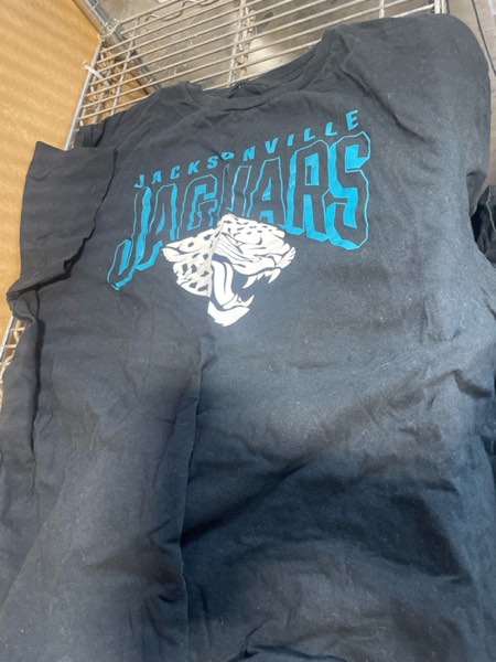 Junk Food Clothing x NFL - Bold Logo - Short Sleeve Fan Shirt for Men and Women - NFL Apparel (XL)