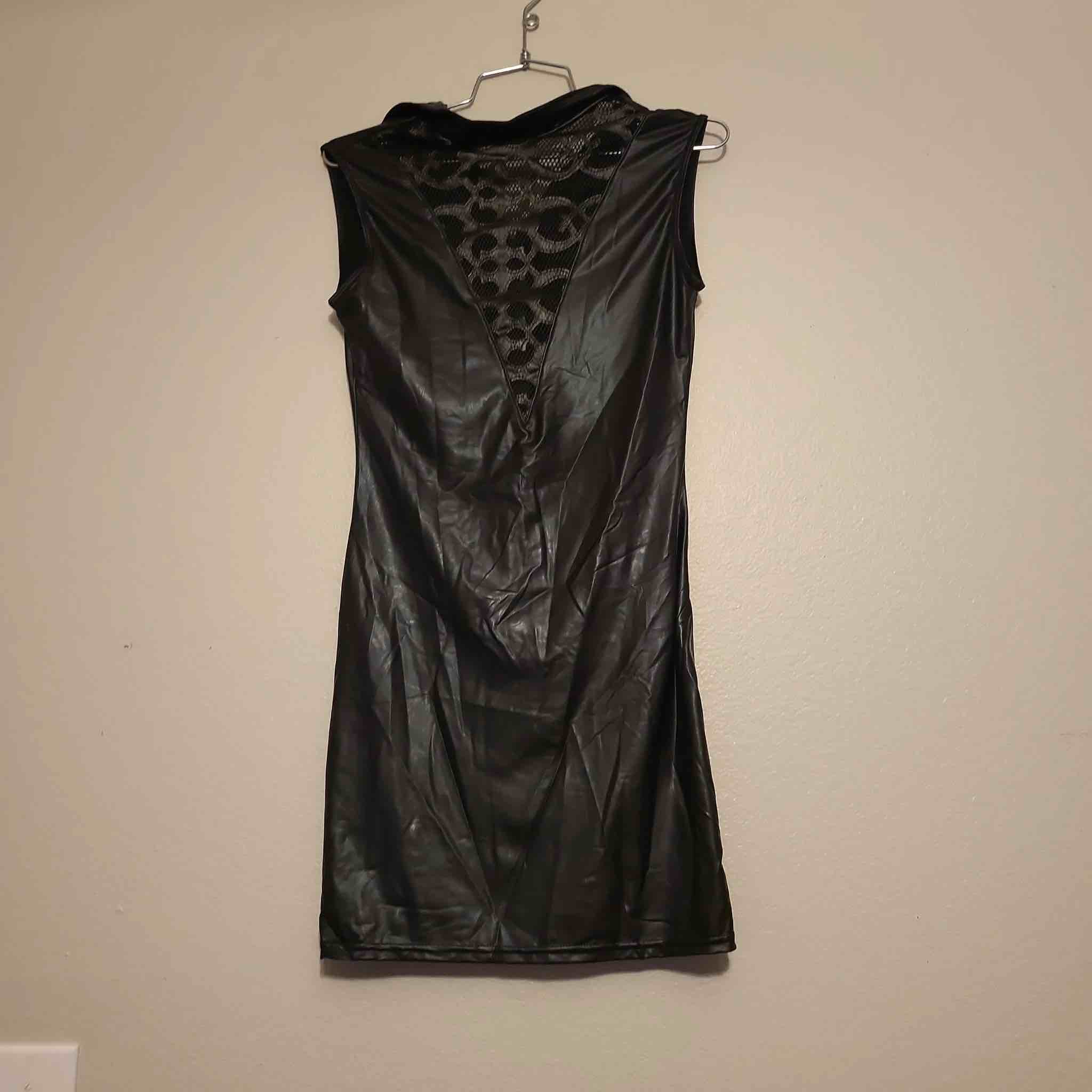Small Pleather Dress 