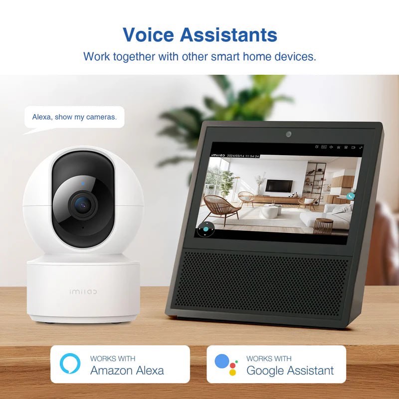 https://s3.amazonaws.com/lotting-images-prod/webster/WEB30268237_1731547120708.jpeg