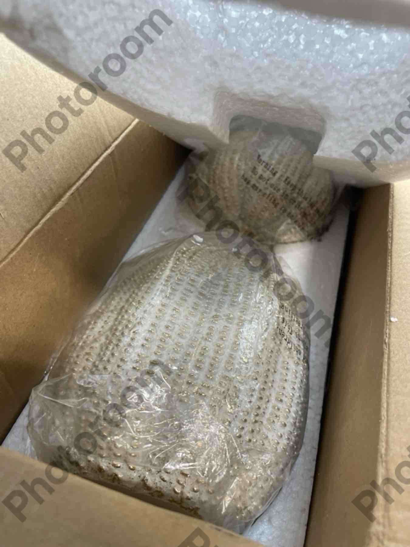 Resib Pumpkin Figurine