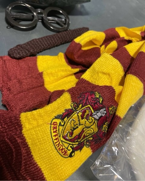 Gyffindor Harry Potter Costume