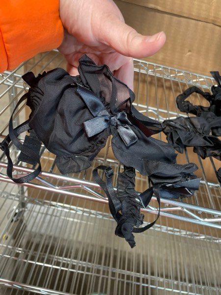 https://s3.amazonaws.com/lotting-images-prod/webster/WEB30274514_1734381466233.jpeg