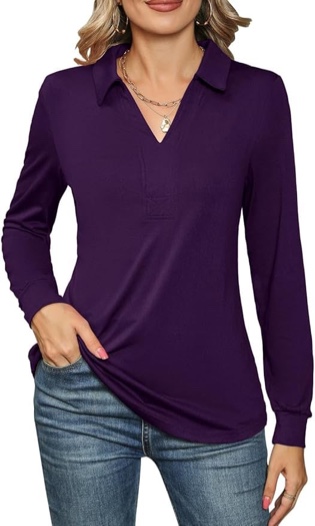 ZHENWEI Womens Tops Long Sleeve Business Casual Collared Blouses Johnny Collar Polo Shirts Winter V Neck Cute Tee