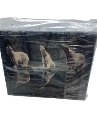 Polar Bear Family 8X10 Museum Quality Wall Decor