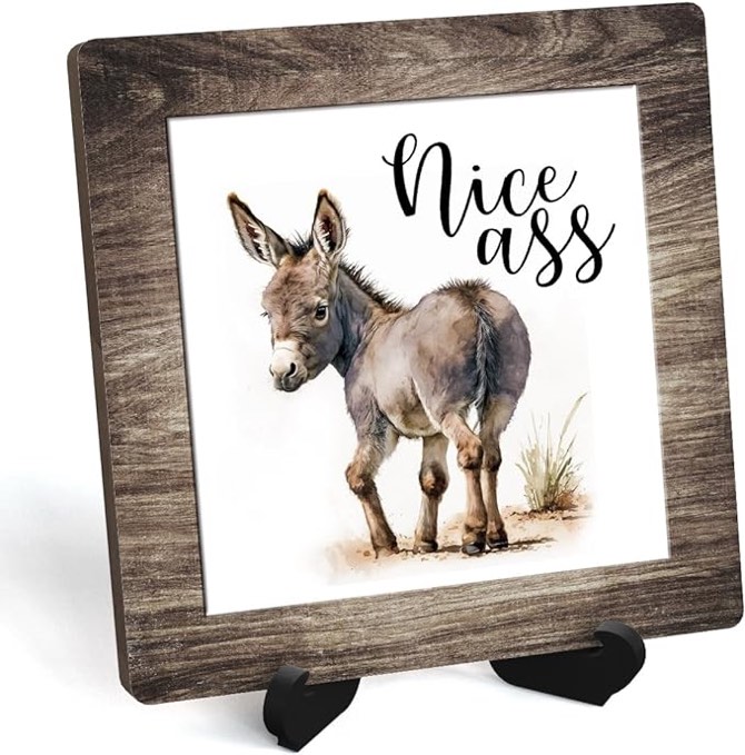 Bathroom Plaque with Wooden Stand, Nice Ass Desk Decor Wood Sign, for Bathroom Shelf Toilet Restroom Home Tabletop Desk Decor -07