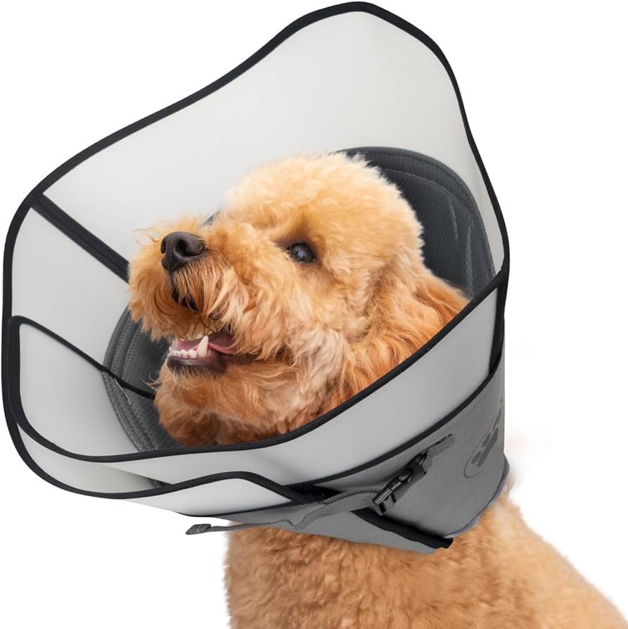 Dog Cone Perspective (L)