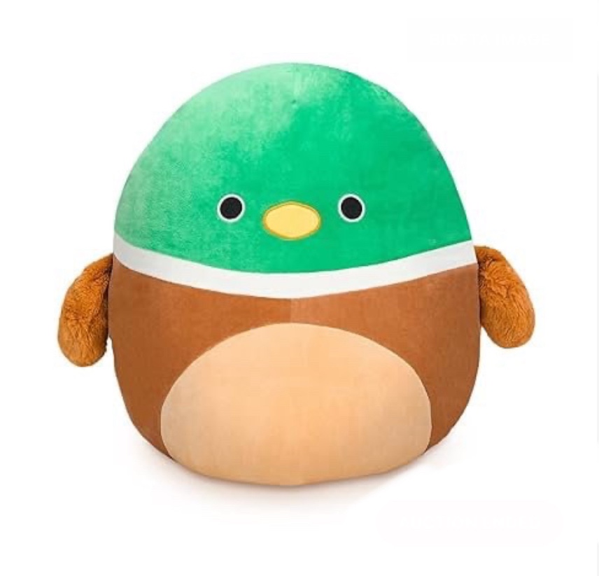 Rdyhqwp 1Pcs Duck Stuffed Animal Toy, 8 Inch Soft and Cute Plush Toy, Gift for Kids 