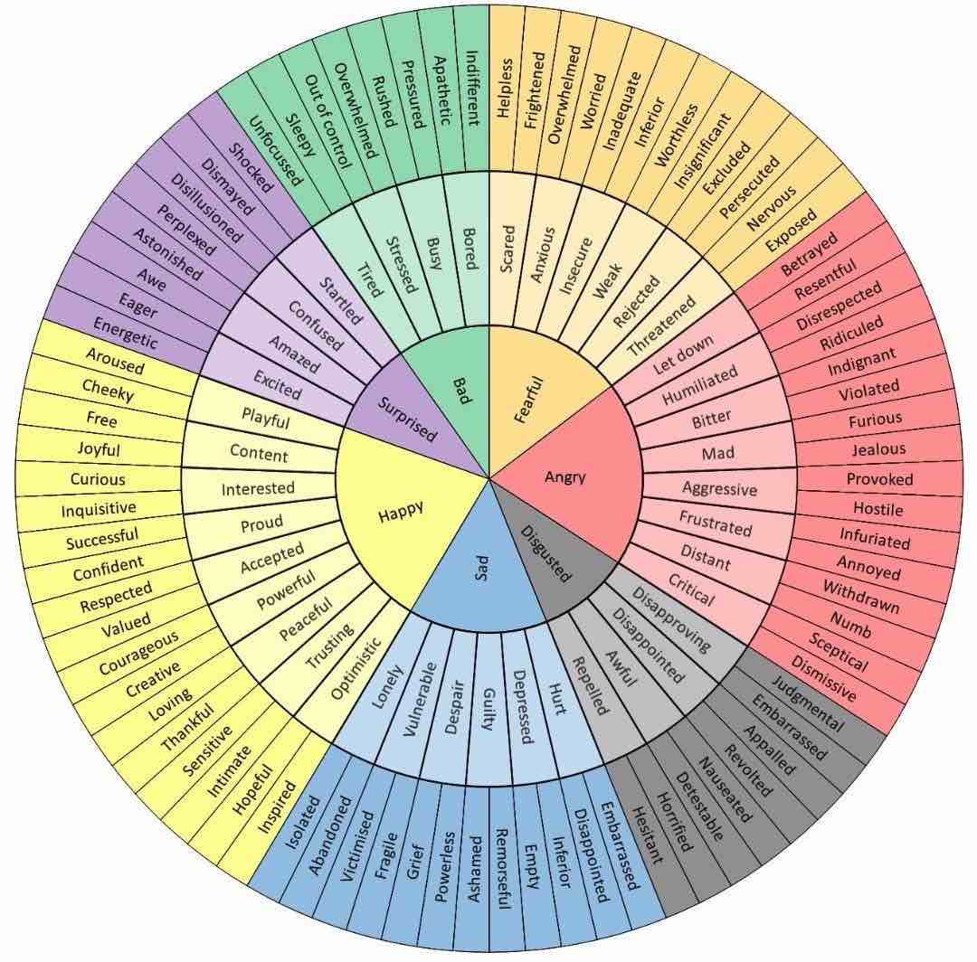 Wheel of Emotions and Feelings Counselor Gift (Content May Vary)