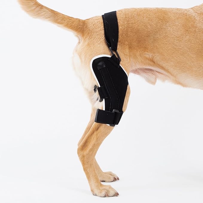 Poveo hinged Dog Knee Brace with Patella Tracker - Neoprene Canine Stifle Support for Dogs with Torn ACL, Patella Luxation, osteoarthritis, limping from Joint Pain, Hip dysplasia (Left, 2X-Large)