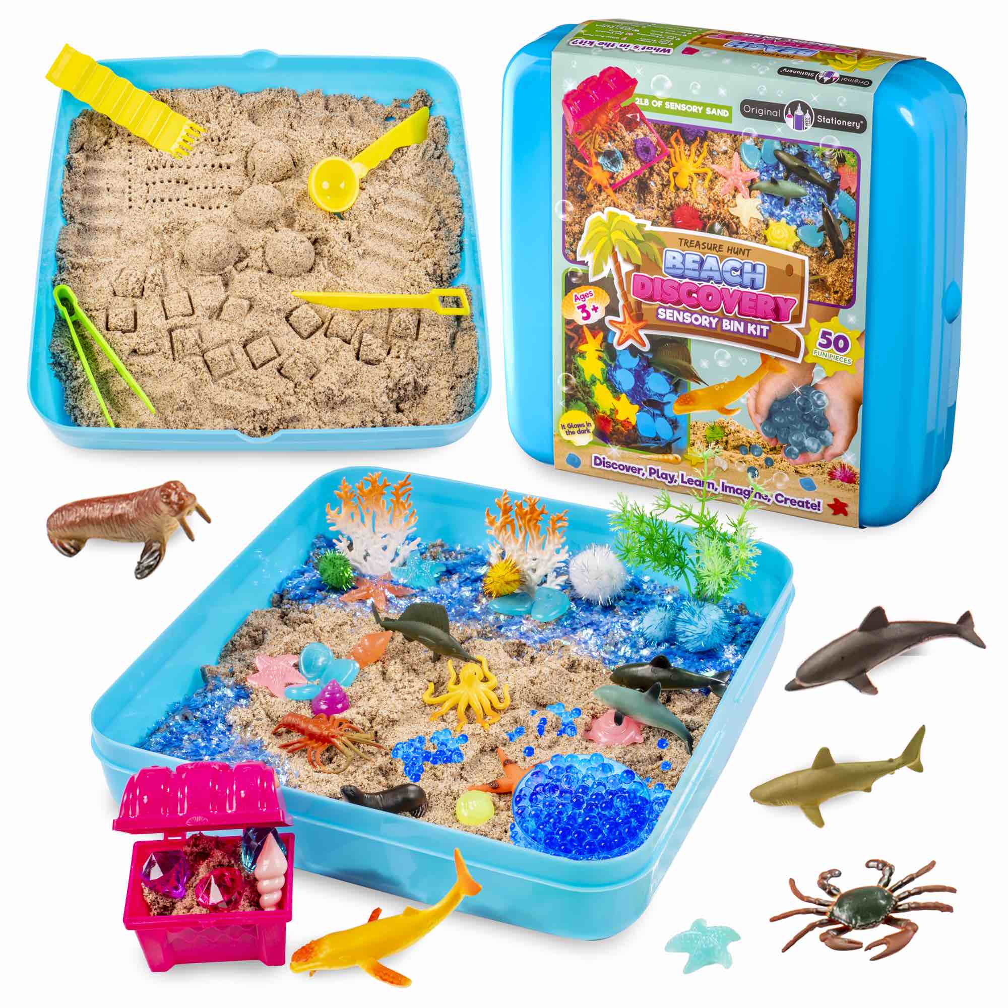 Original Stationary Beach Discovery Sensory Bin Kit