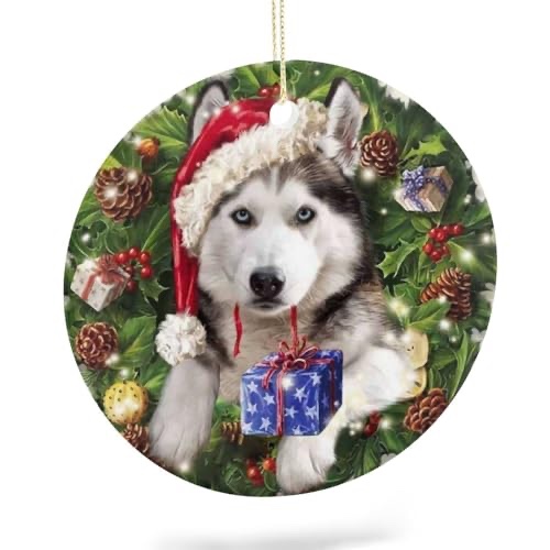 https://s3.amazonaws.com/lotting-images-prod/webster/WEB30339618_1714529644569.jpeg