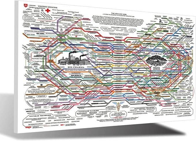 TOIVO The Healing Web Poster 16X24 Inches Framed, Healing Map Canvas HD Print Wall Decor, Comprehensive Natural Remedies Holistic Medicine Poster for Dorm/Bedroom/Office