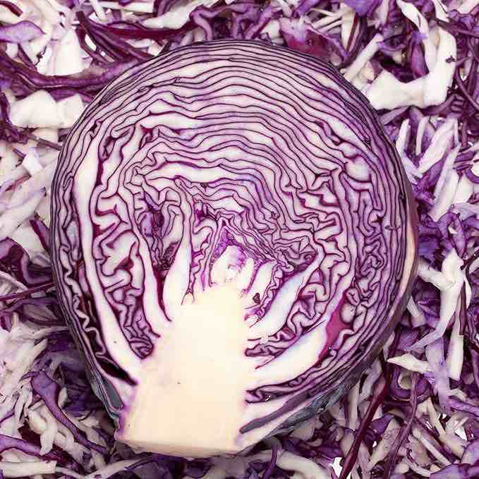 1000 Mammoth Red Rock Cabbage Seeds for Planting Heirloom 