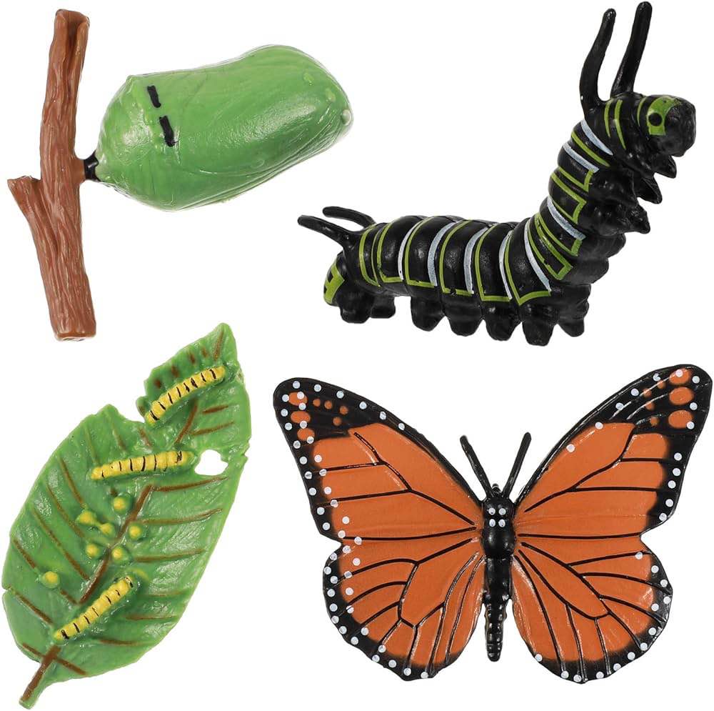 Butterfly Life Cycle (4 Pieces) — Content May Vary