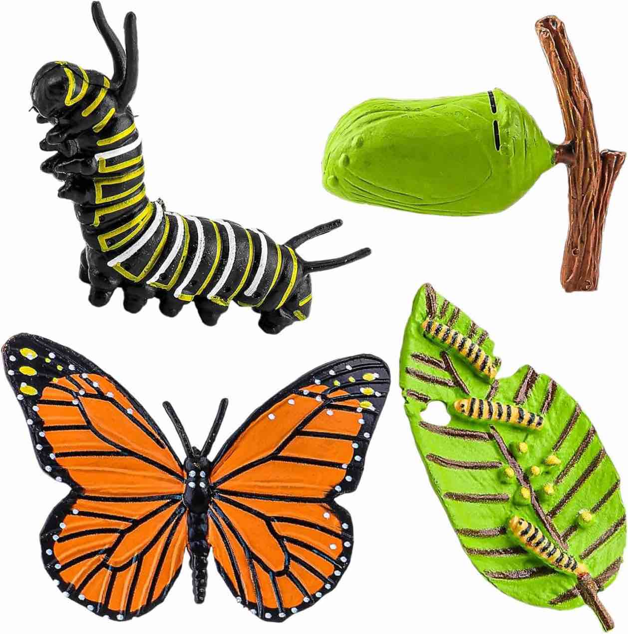 4 Pcs Insect Figurines Life Cycle of Butterflies Growth Model, Realistic Animal Figures Insect Butterfly Cycle Model Preschool Learning Education Growth Stage Model Props Toy